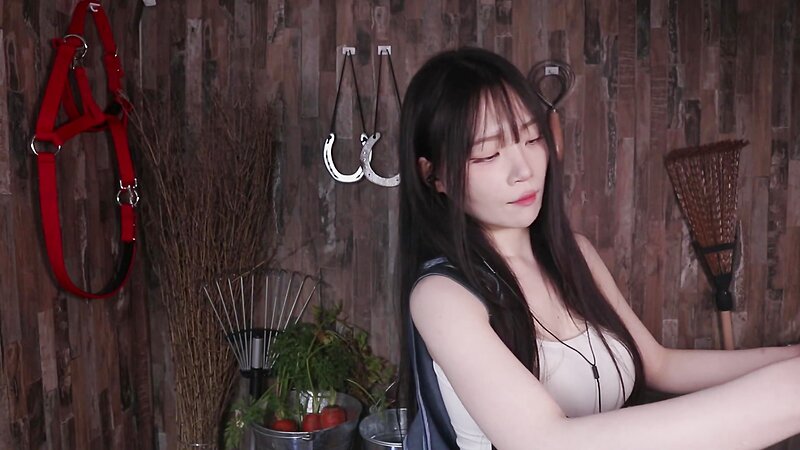 [ASMR] Nara Peaceful Stable Roleplay with Soothing Horse Grooming Sounds