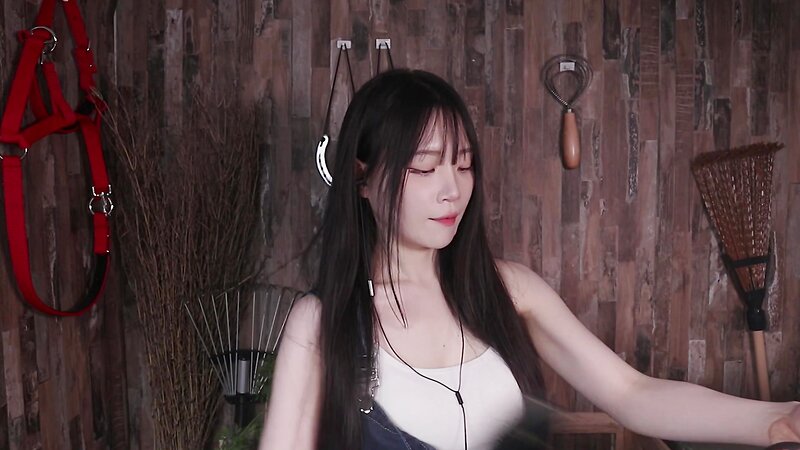 [ASMR] Nara Peaceful Stable Roleplay with Soothing Horse Grooming Sounds