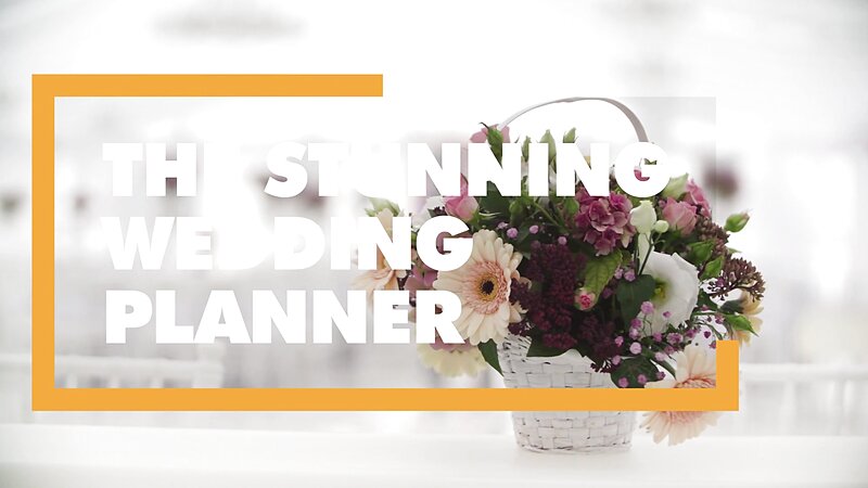 Karina King Wedding Planner Fucked Hard by Big Cock in POV