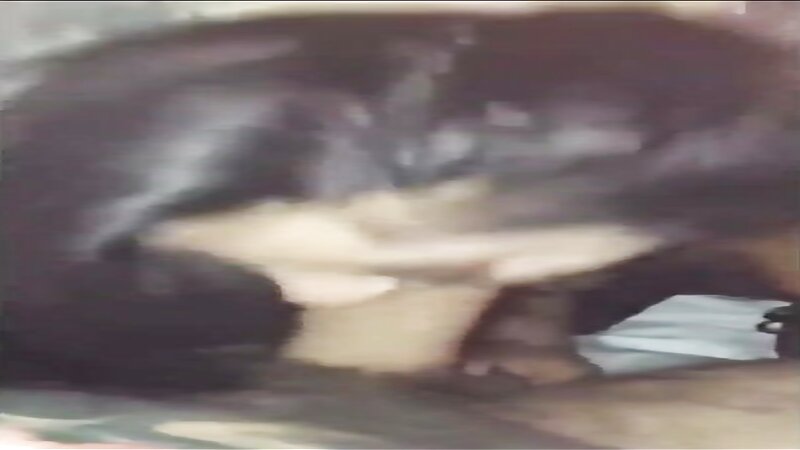 Lena The Plug Sloppy Blowjob