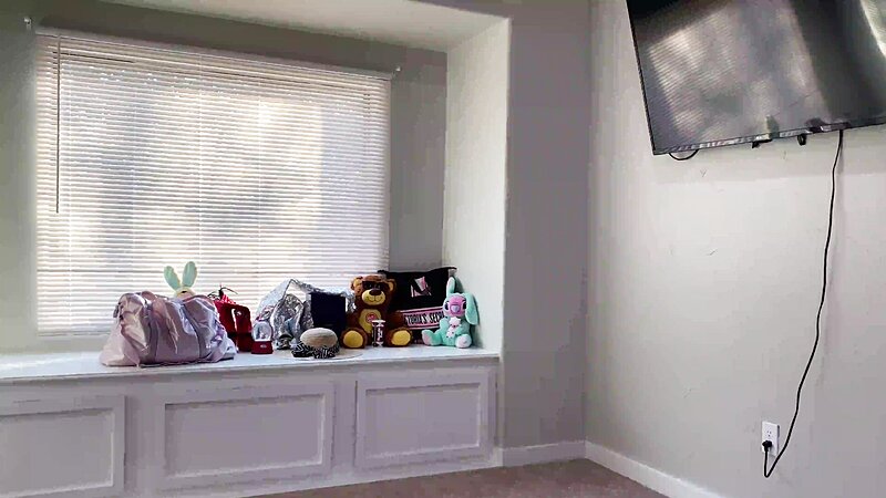 Trixie Thomas Topless Try-On Hottie