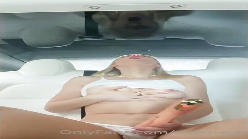 Dilfenergy Car Wash Vibrator Fun